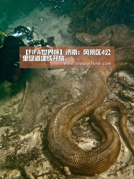 【FIFA世界杯】济南:风景区4公里绿道建成开放(图4) 世界杯