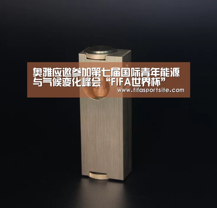 奥雅应邀参加第七届国际青年能源与气候变化峰会“FIFA世界杯”(图1) 世界杯
