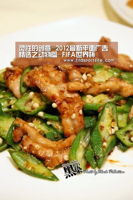 世界杯官网